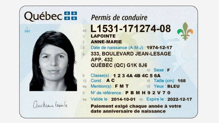 Le permis de conduire coûtera 50 $ au Québec en 2026