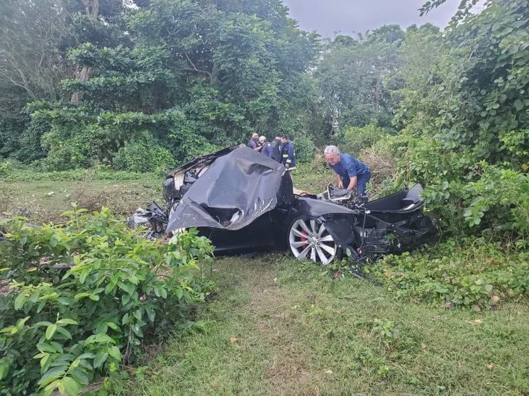 Tesla chute d'une falaise