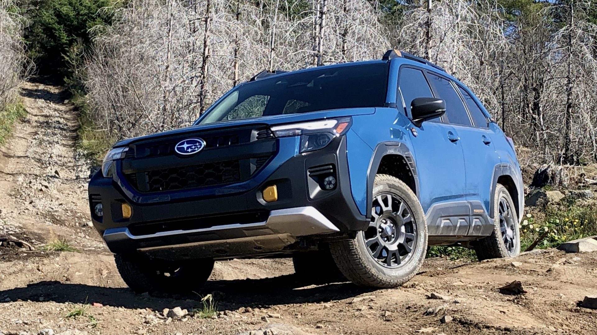 Subaru Forester Wilderness 2026