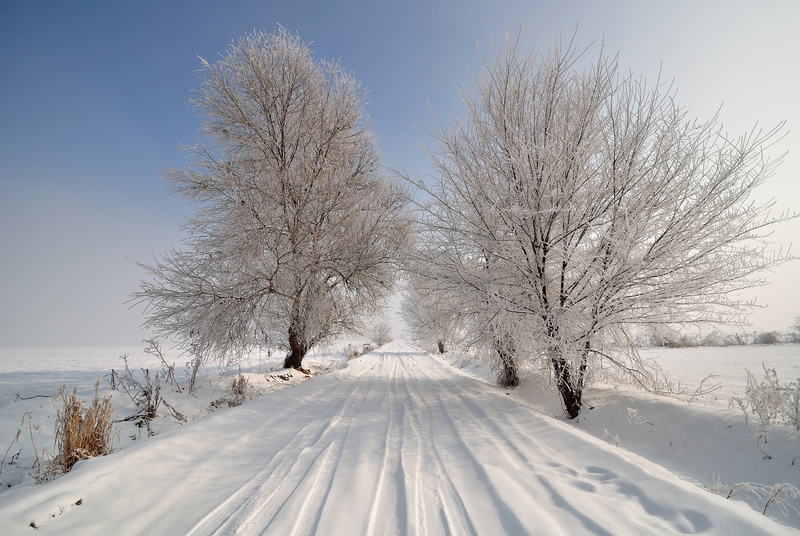 conduite hivernale conseils