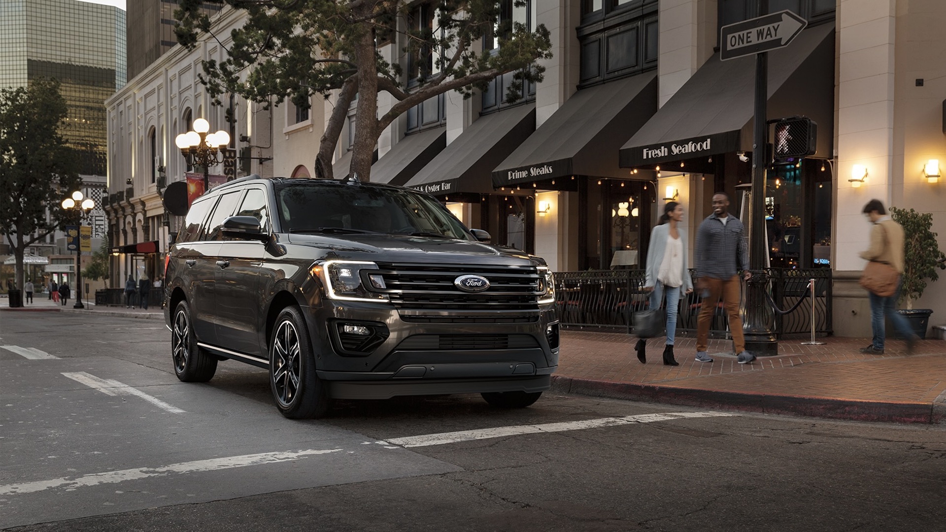 2019 Ford Expedition Stealth Edition (Black)