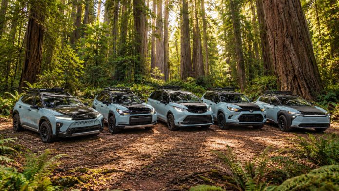 Five Toyota Woodland concepts in Horizon Blue lined up on a dirt clearing in a redwood forest